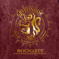 Maroon - Side - Harry Potter Womens-Ladies Gryffindor Constellation T-Shirt