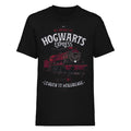 Black - Front - Harry Potter Unisex Adult All Aboard T-Shirt