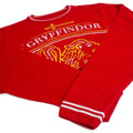 Red - Lifestyle - Harry Potter Unisex Adult House Crest Gryffindor Knitted Jumper