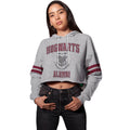 Grey Heather - Side - Harry Potter Womens-Ladies Hogwarts Alumni Crop Hoodie