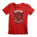Red-Black - Lifestyle - Harry Potter Childrens-Kids Comic Style Gryffindor T-Shirt