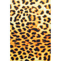 Beige-Brown-Black - Pack Shot - Hype Leopard Print Lunch Bag