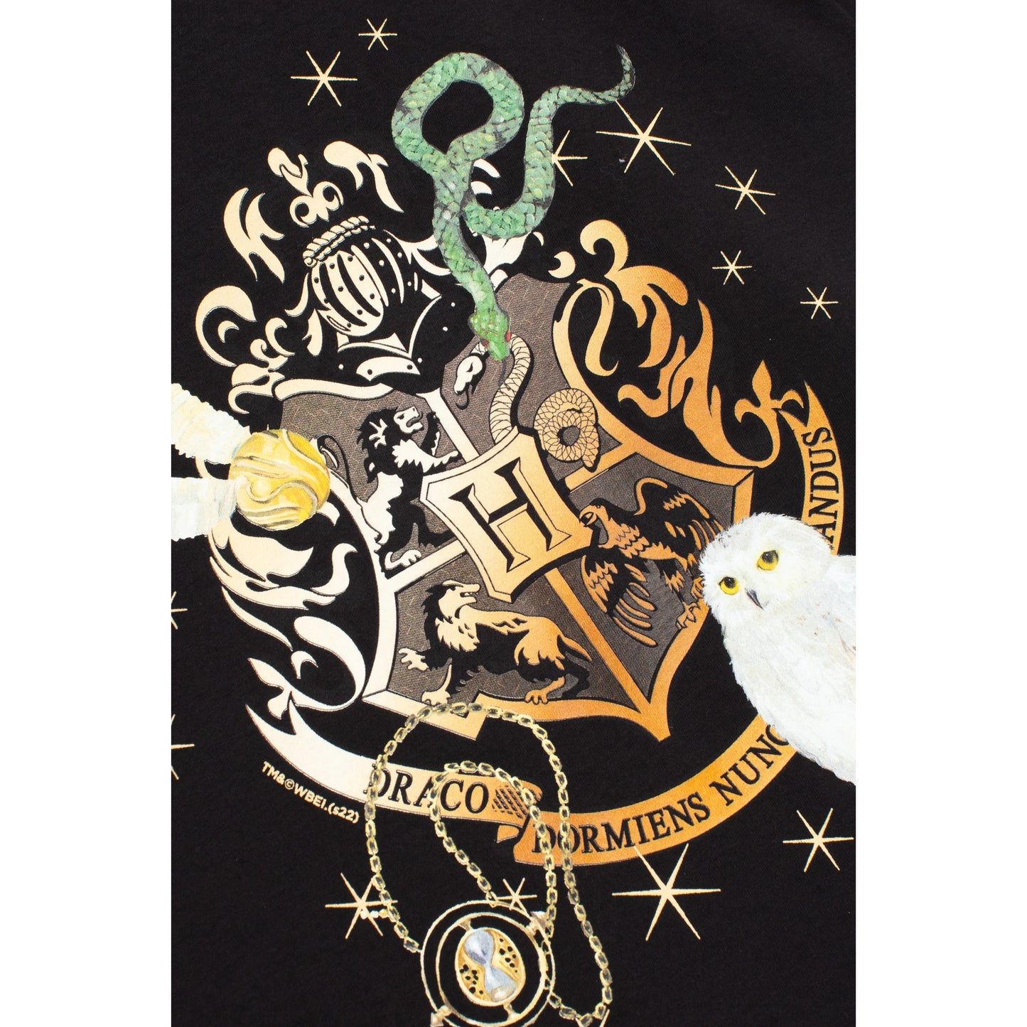 Black-Gold - Side - Hype Childrens-Kids Houses Harry Potter T-Shirt