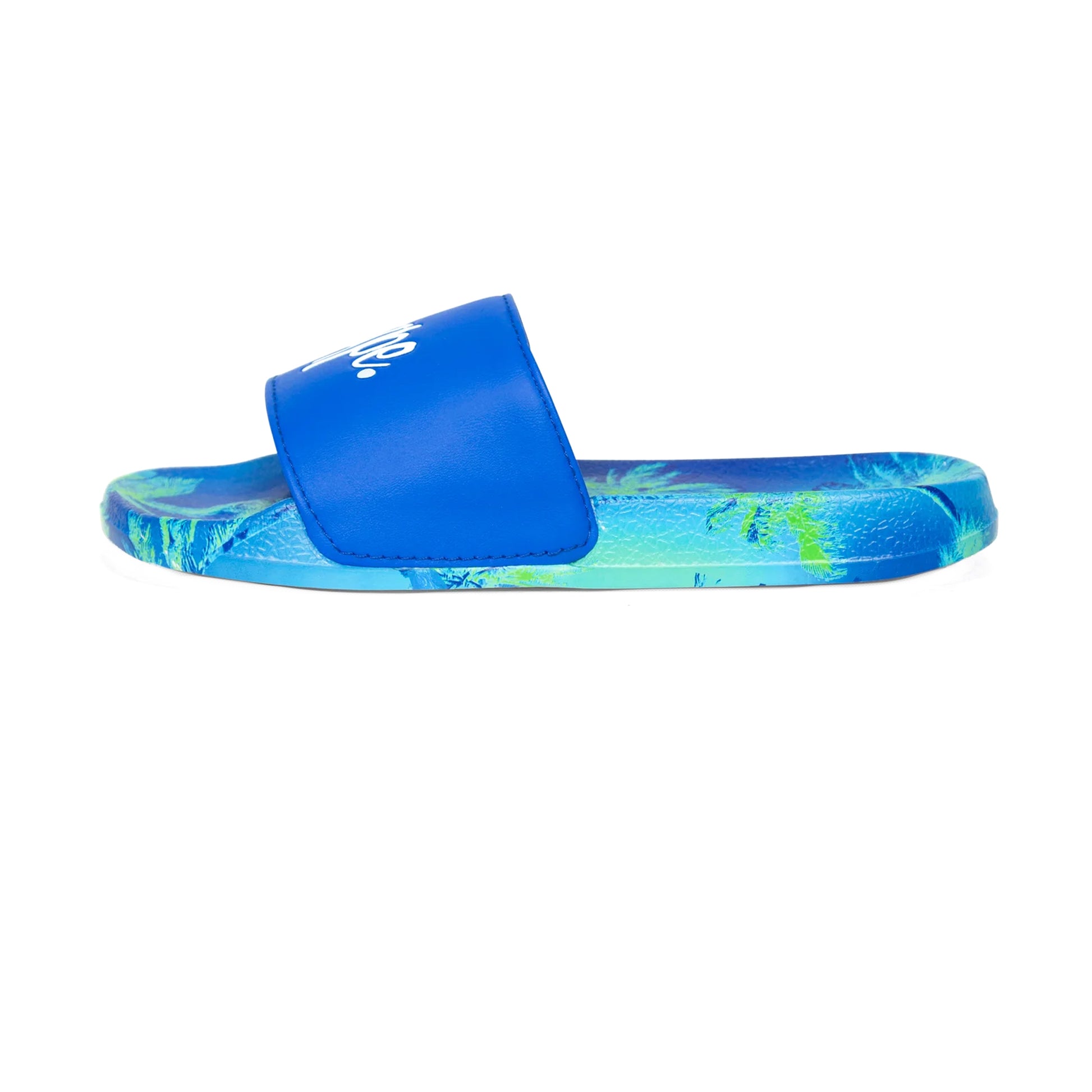 Blue - Back - Hype Boys Palm Sliders