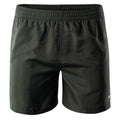 Forged Iron - Front - Aquawave Mens Apeli Logo Swim Shorts