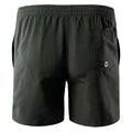 Forged Iron - Back - Aquawave Mens Apeli Logo Swim Shorts