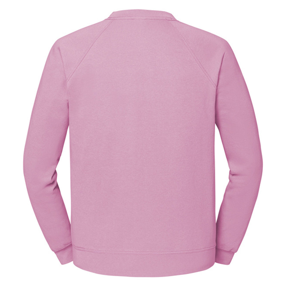 Light Pink - Back - Fruit of the Loom Unisex Adult Classic Raglan Sweatshirt