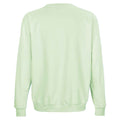 Creamy Green - Back - SOLS Unisex Adult Columbia Crew Neck Sweatshirt