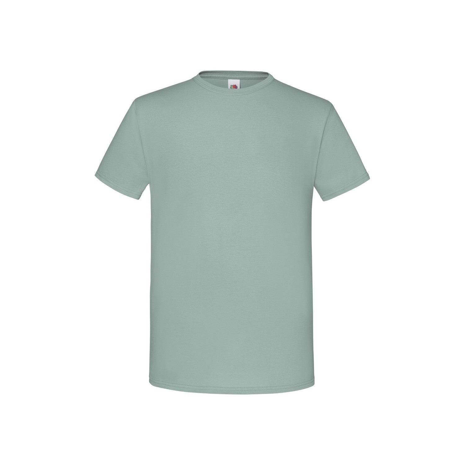 Sage - Front - Fruit of the Loom Unisex Adult Iconic T-Shirt