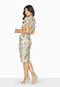 Snake Print - Pack Shot - Girls On Film Womens-Ladies Alicia Gathered Side Dress