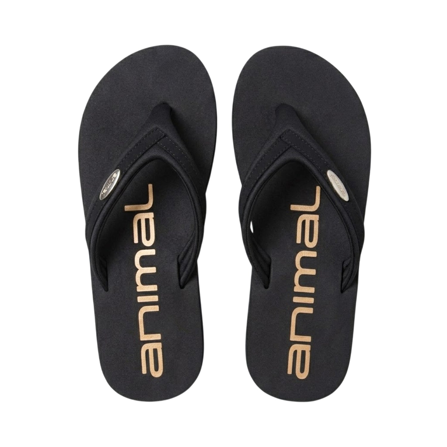 Black - Back - Animal Womens-Ladies Swish Recycled Flip Flops