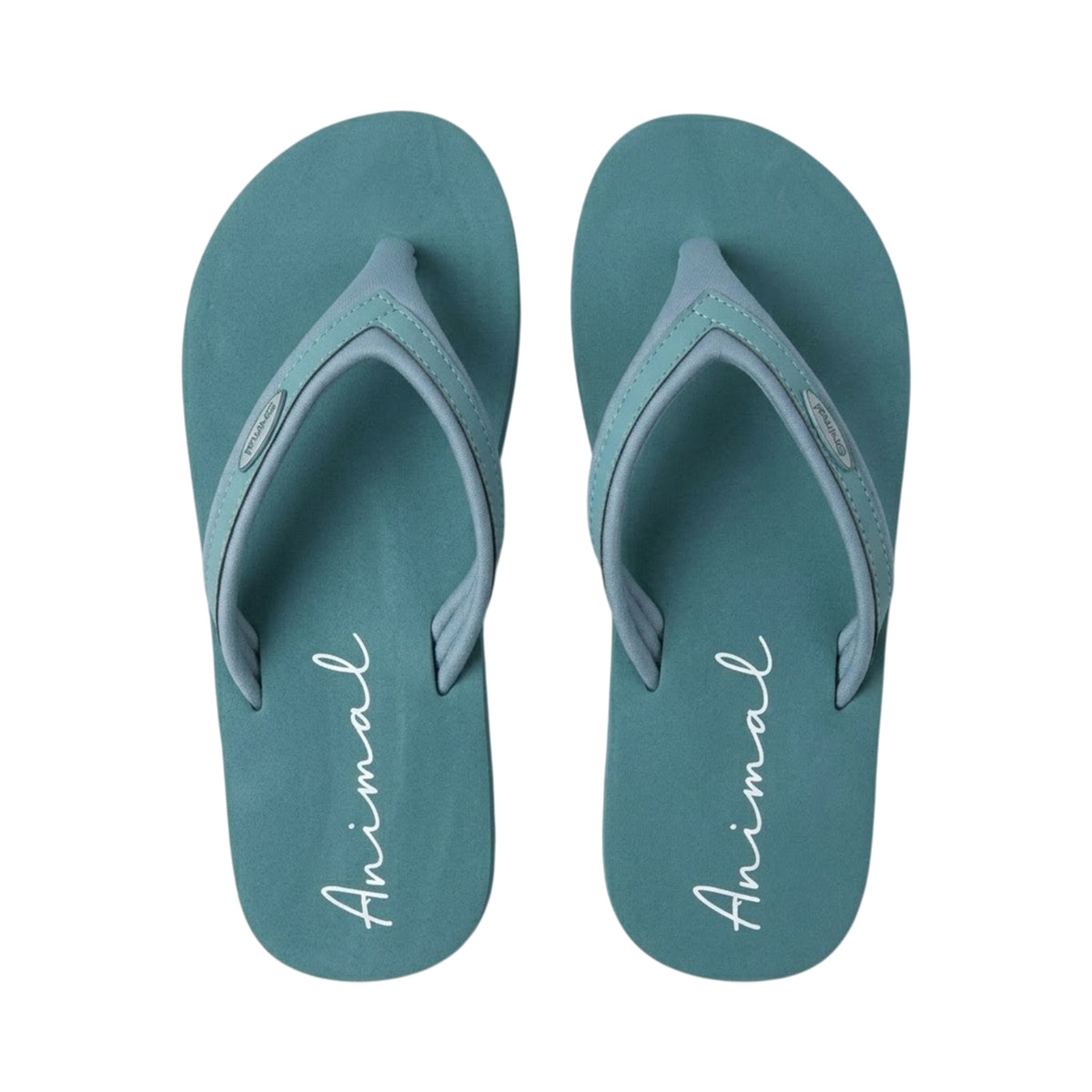 Pale Green - Back - Animal Womens-Ladies Swish Recycled Flip Flops
