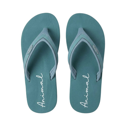 Pale Green - Back - Animal Womens-Ladies Swish Recycled Flip Flops