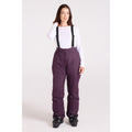 Dark Purple - Front - Mountain Warehouse Womens-Ladies Moon II Ski Trousers