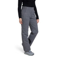 Grey - Pack Shot - Mountain Warehouse Womens-Ladies Blizzard Ski Trousers