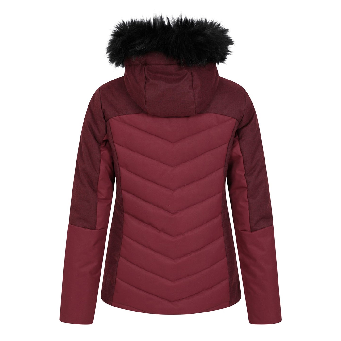 Berry - Back - Mountain Warehouse Womens-Ladies Pyrenees II Padded Ski Jacket