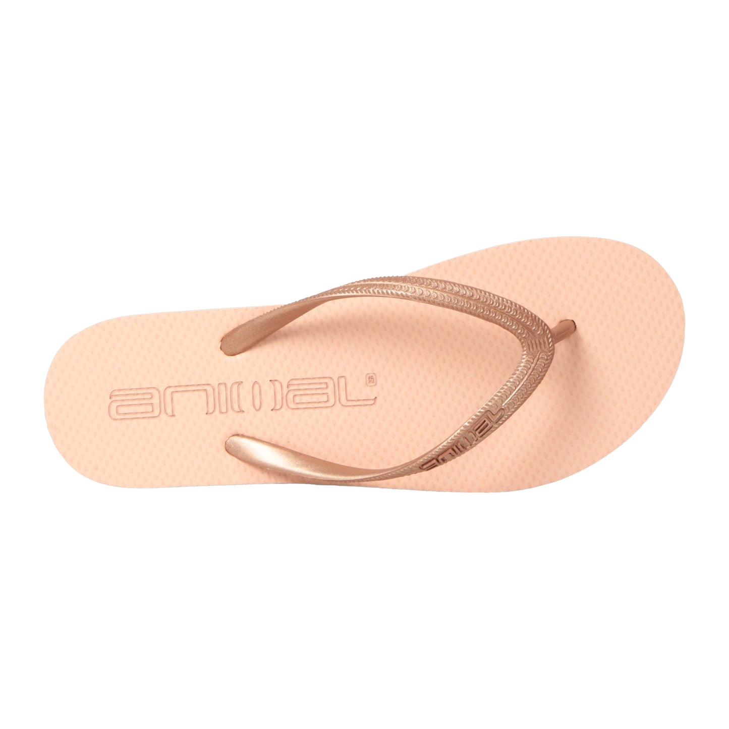 Rose Gold - Back - Animal Womens-Ladies Oceana Flip Flops