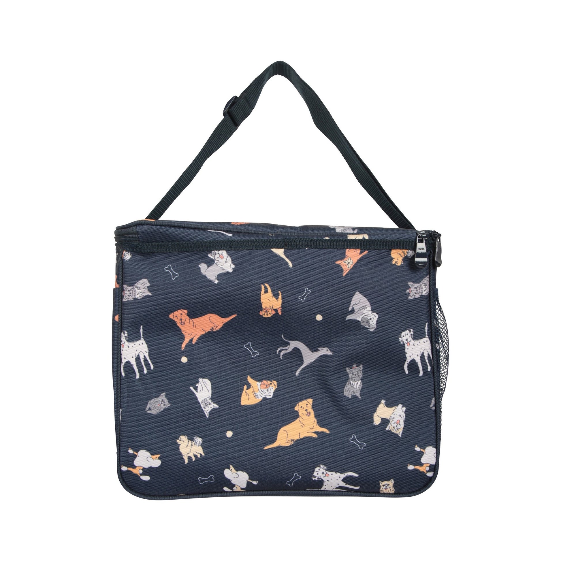 Blue - Back - Mountain Warehouse 25L Dogs Cooler Bag
