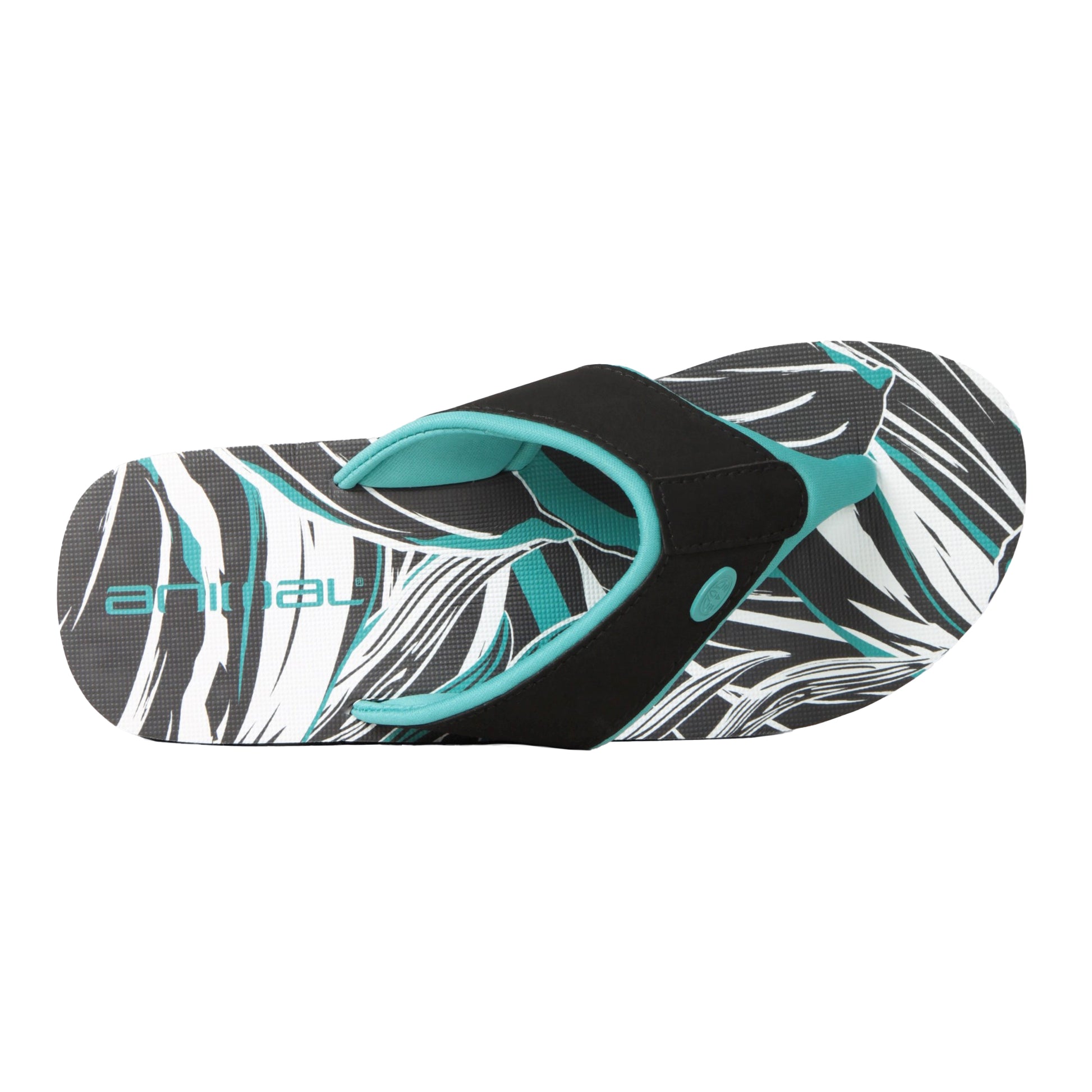 Dark Teal - Back - Animal Womens-Ladies Swish Patterned Recycled Flip Flops