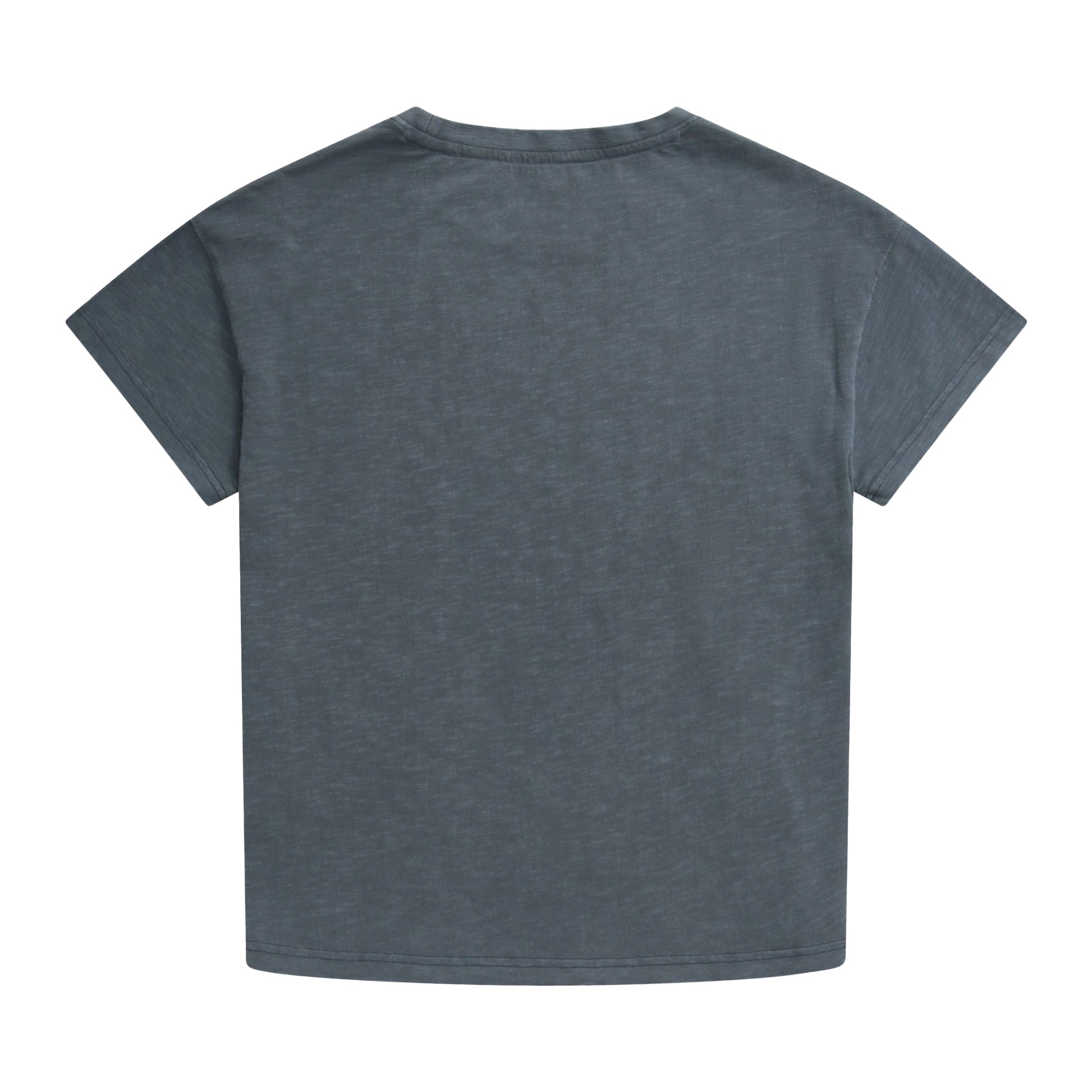 Petrol - Back - Animal Womens-Ladies Phoenix Organic T-Shirt