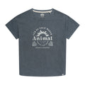 Petrol - Front - Animal Womens-Ladies Phoenix Organic T-Shirt