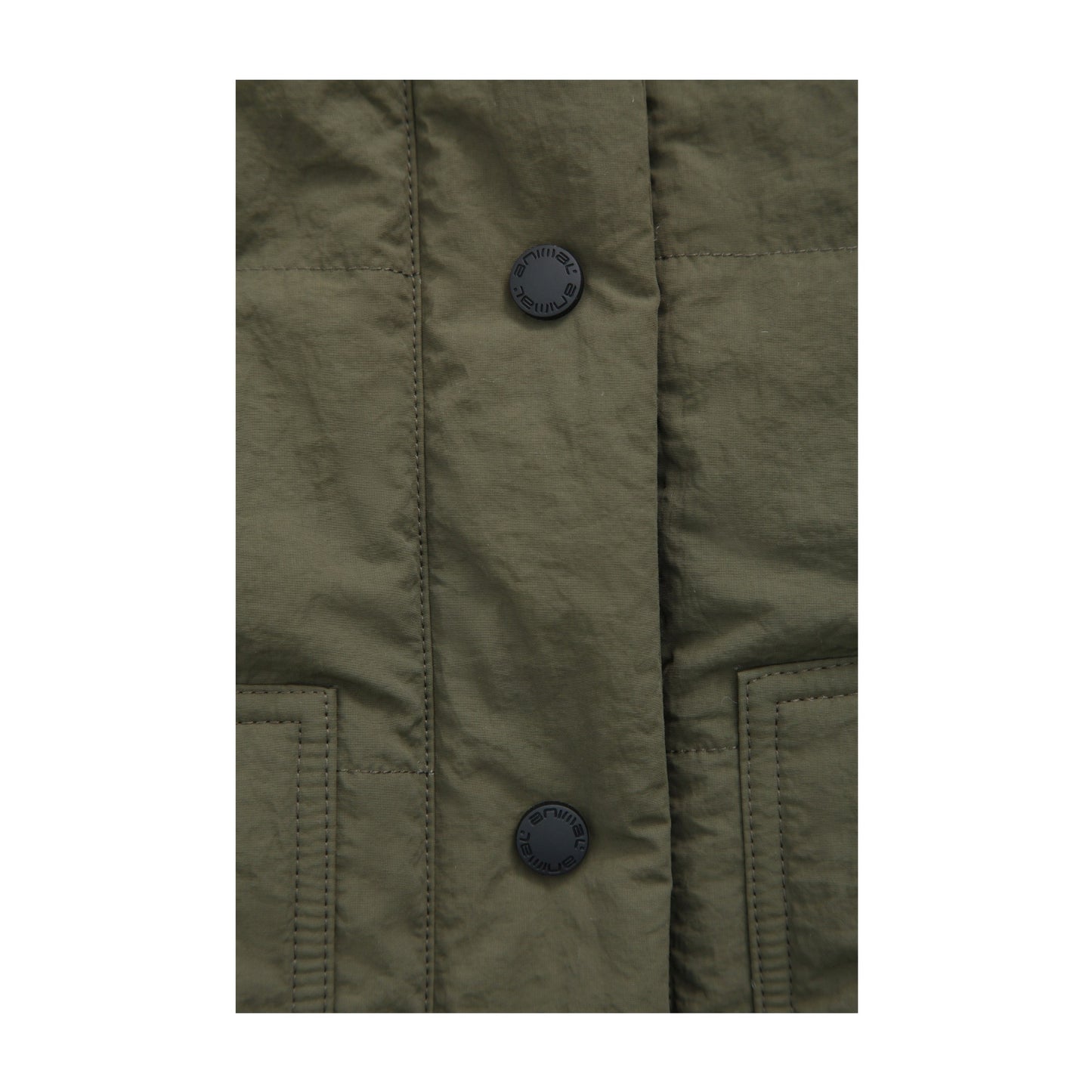 Green - Lifestyle - Animal Womens-Ladies Dune Quilted Padded Jacket