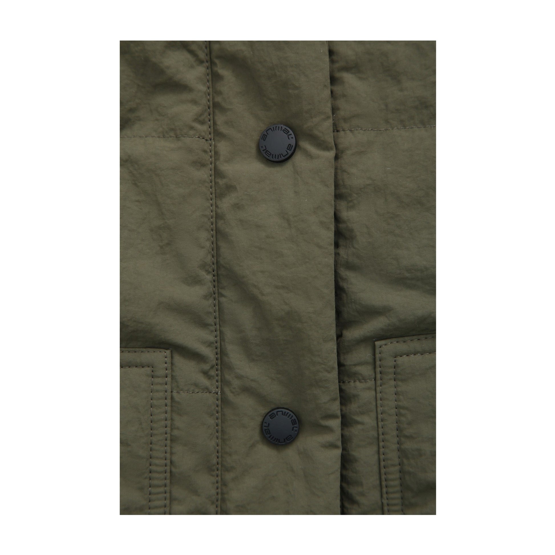 Green - Lifestyle - Animal Womens-Ladies Dune Quilted Padded Jacket