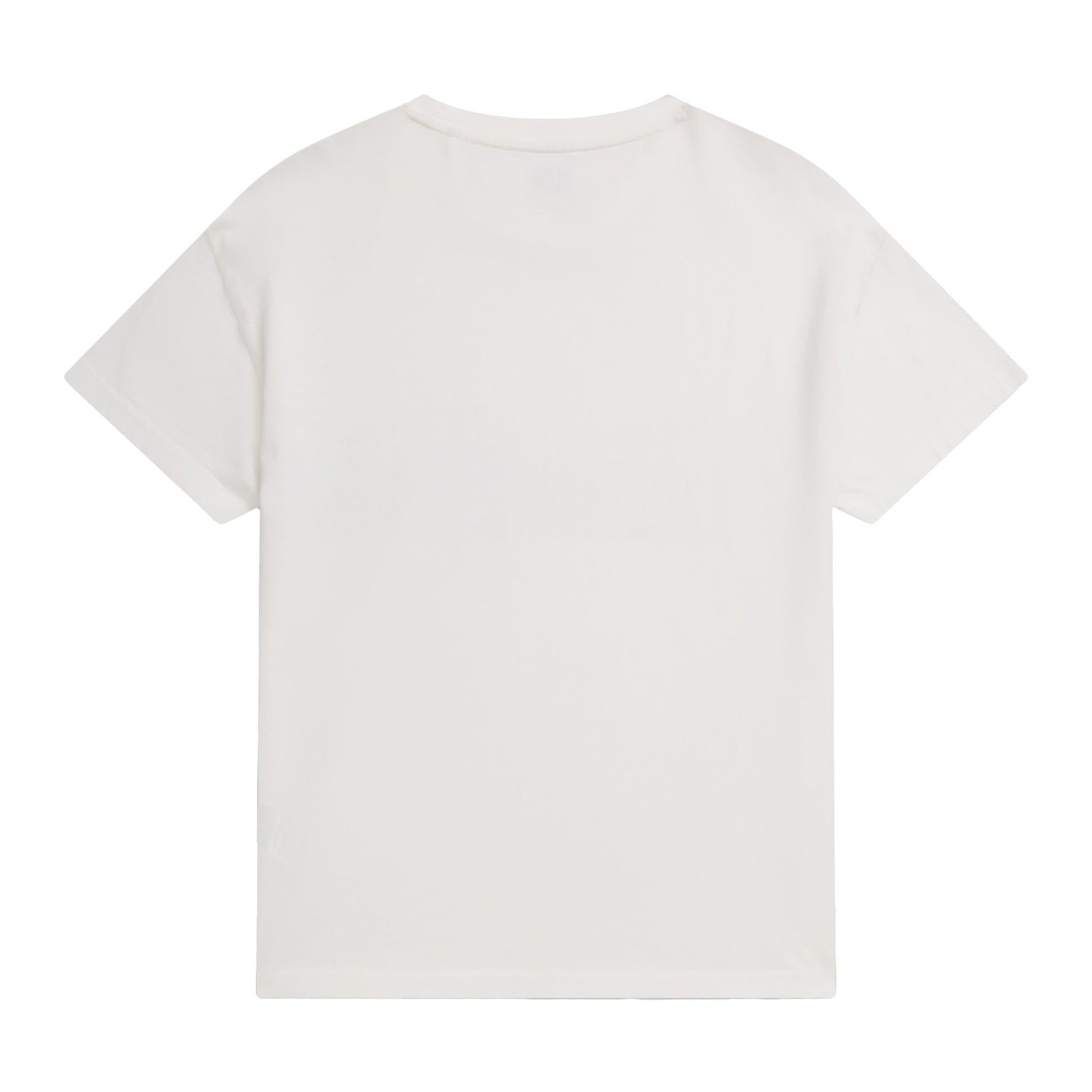 White - Back - Animal Womens-Ladies Phoenix Stripe Organic T-Shirt