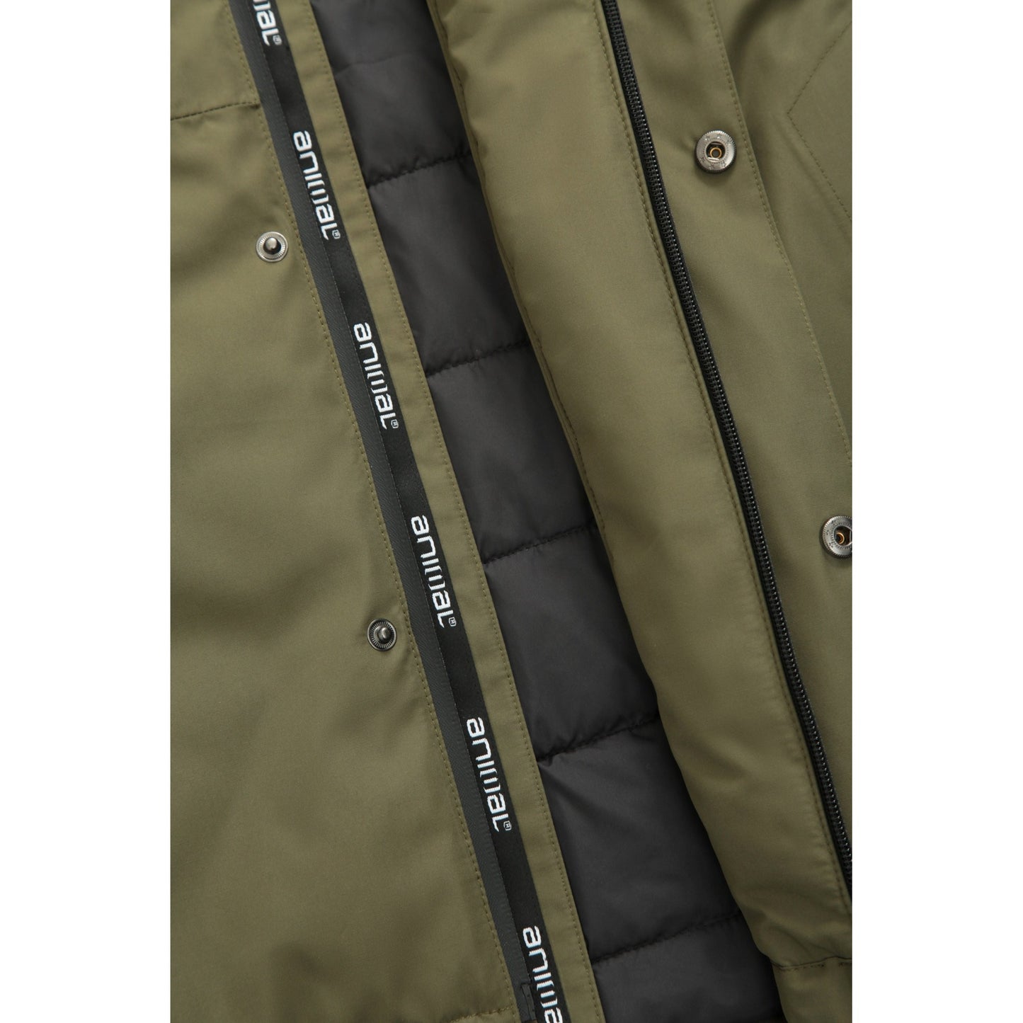 Green - Pack Shot - Animal Mens Harlyn Waterproof Jacket