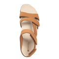 Tan - Pack Shot - Mountain Warehouse Womens-Ladies Dahlia Sandals