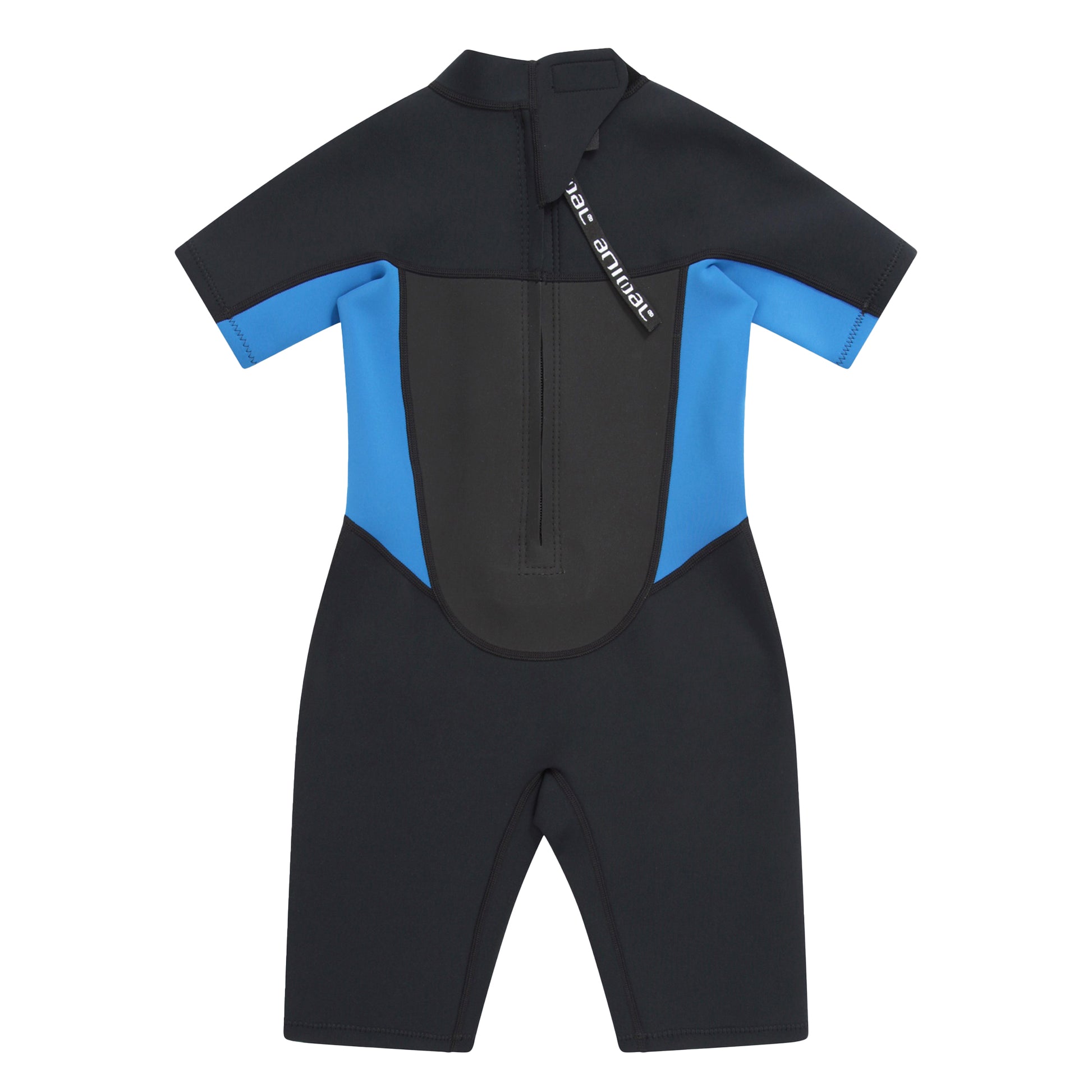 Blue - Back - Mountain Warehouse Childrens-Kids Waves Short Wetsuit