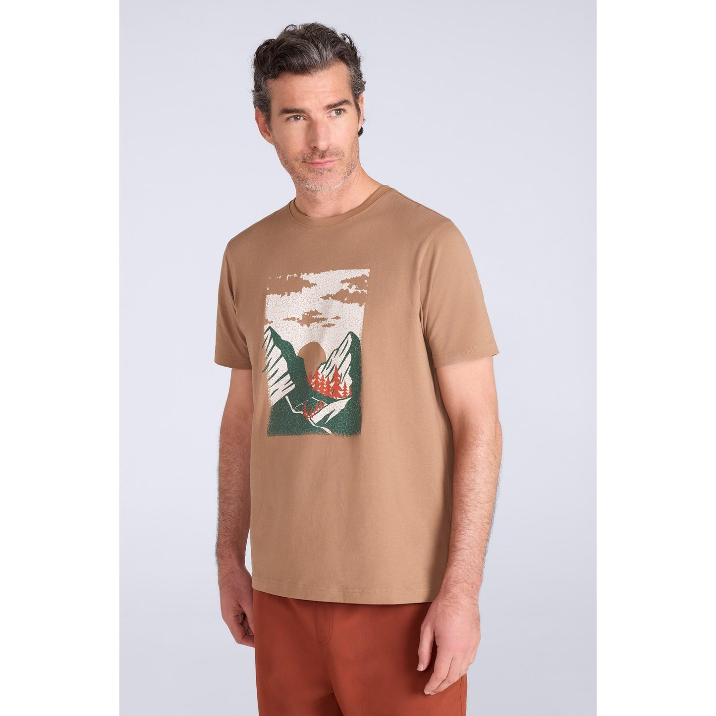 Rust - Front - Mountain Warehouse Mens Mountain T-Shirt