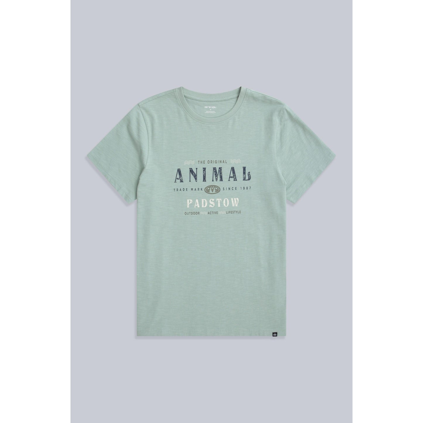 Green - Front - Animal Mens Jacob Padstow Rising Sun T-Shirt