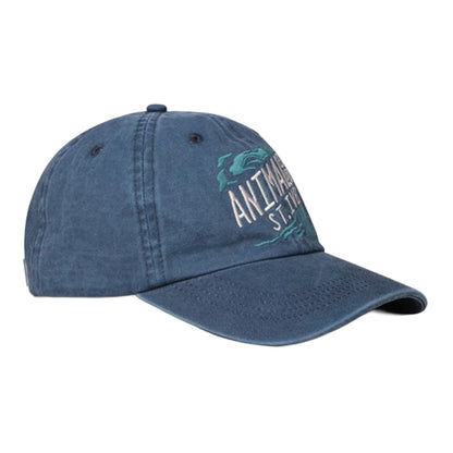 Navy - Front - Animal St Ives Established Baseball Cap