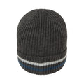 Grey Stripe - Back - Mountain Warehouse Unisex Adult Knitted Fleece Lined Winter Beanie