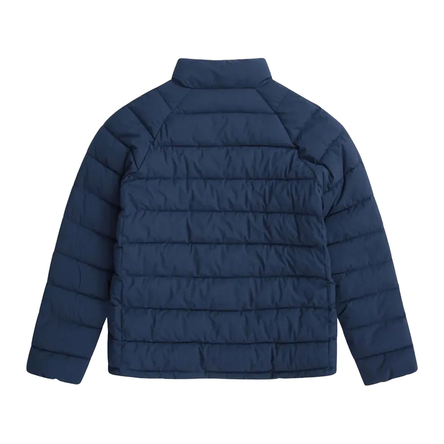 Navy - Back - Animal Womens-Ladies Light Cosi Padded Jacket
