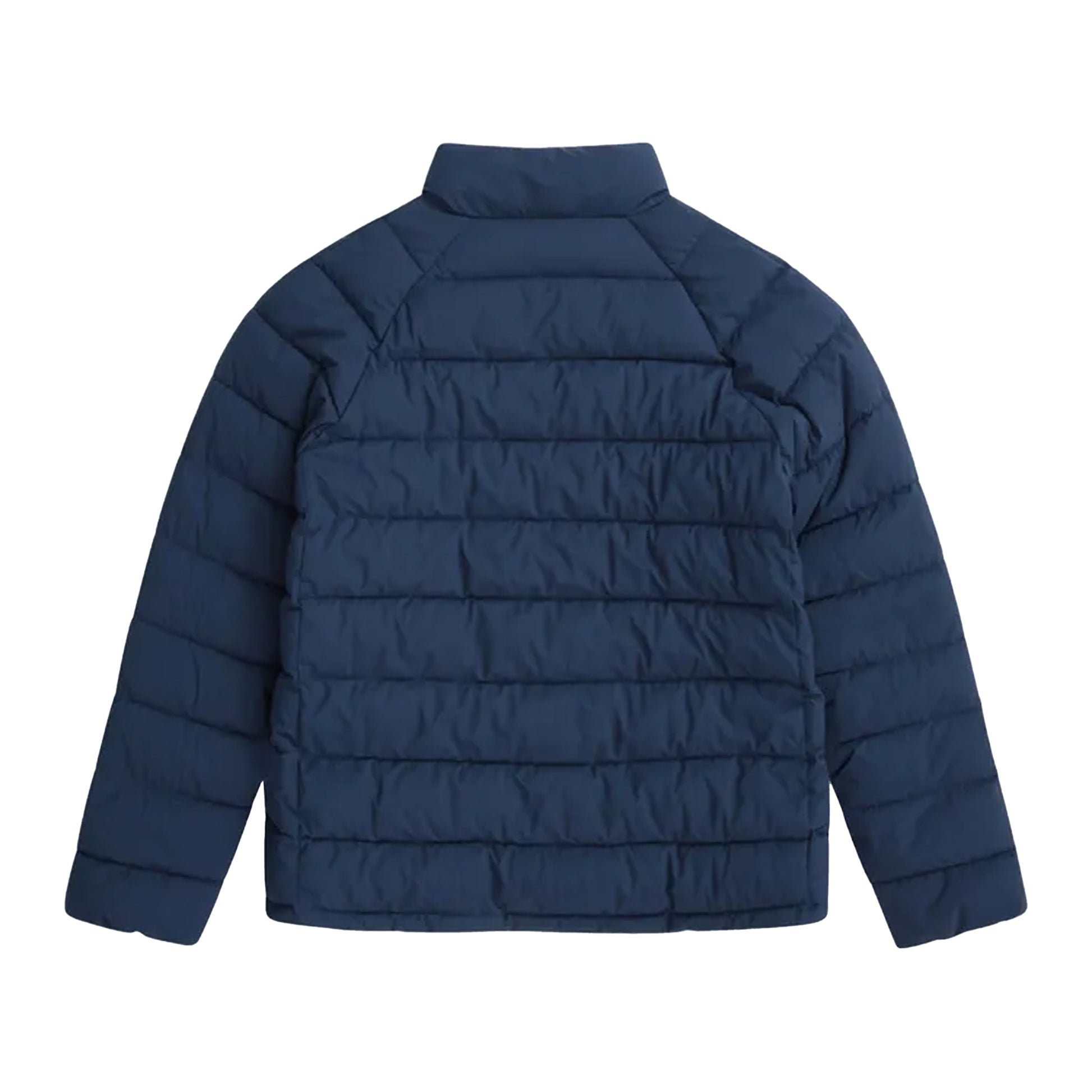 Navy - Back - Animal Womens-Ladies Light Cosi Padded Jacket