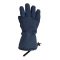 Blue - Front - Animal Mens Glacier Herringbone Ski Gloves