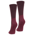 Berry - Lifestyle - Mountain Warehouse Womens-Ladies Explorer Thermal Boot Socks