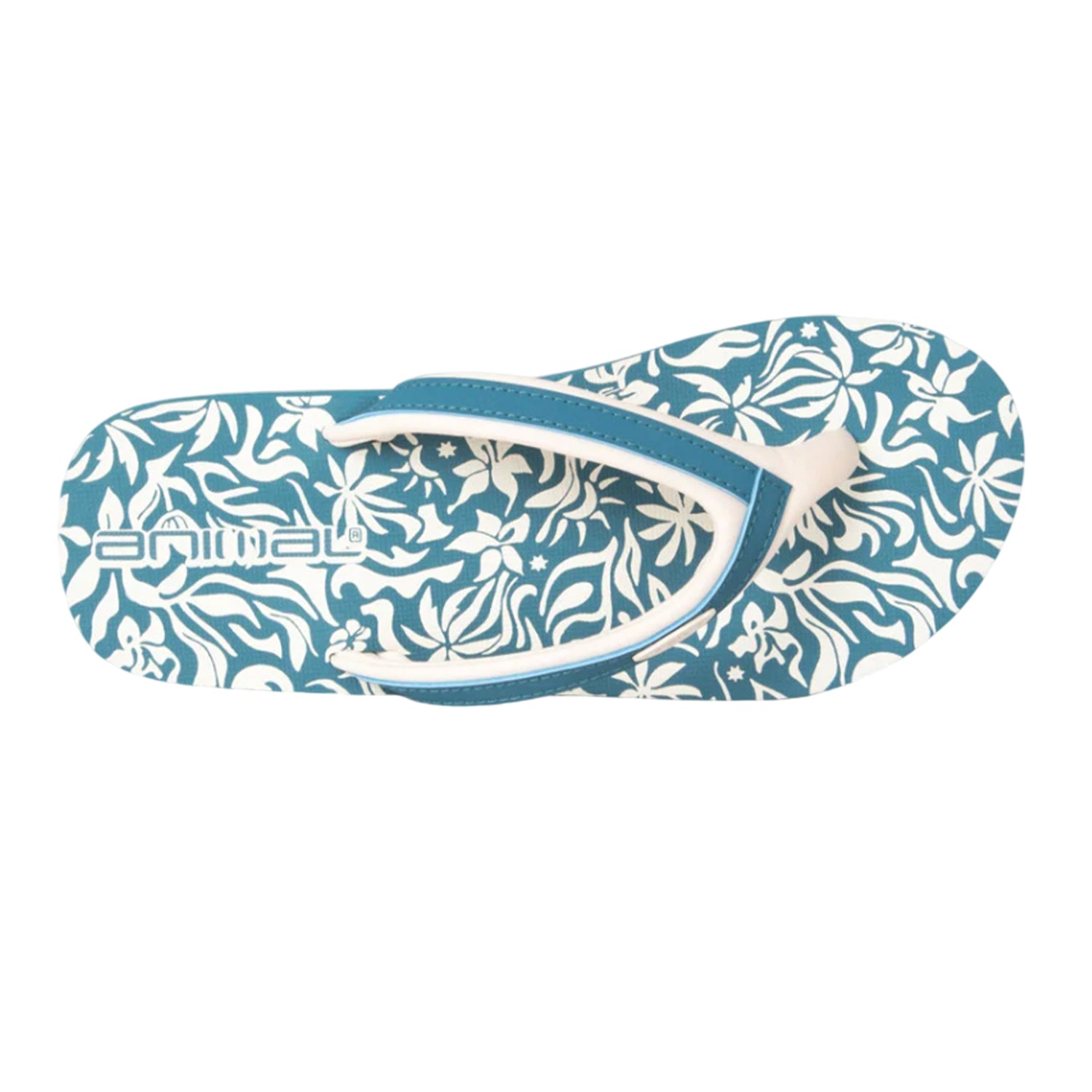 Turquoise - Back - Animal Womens-Ladies Swish Patterned Flip Flops