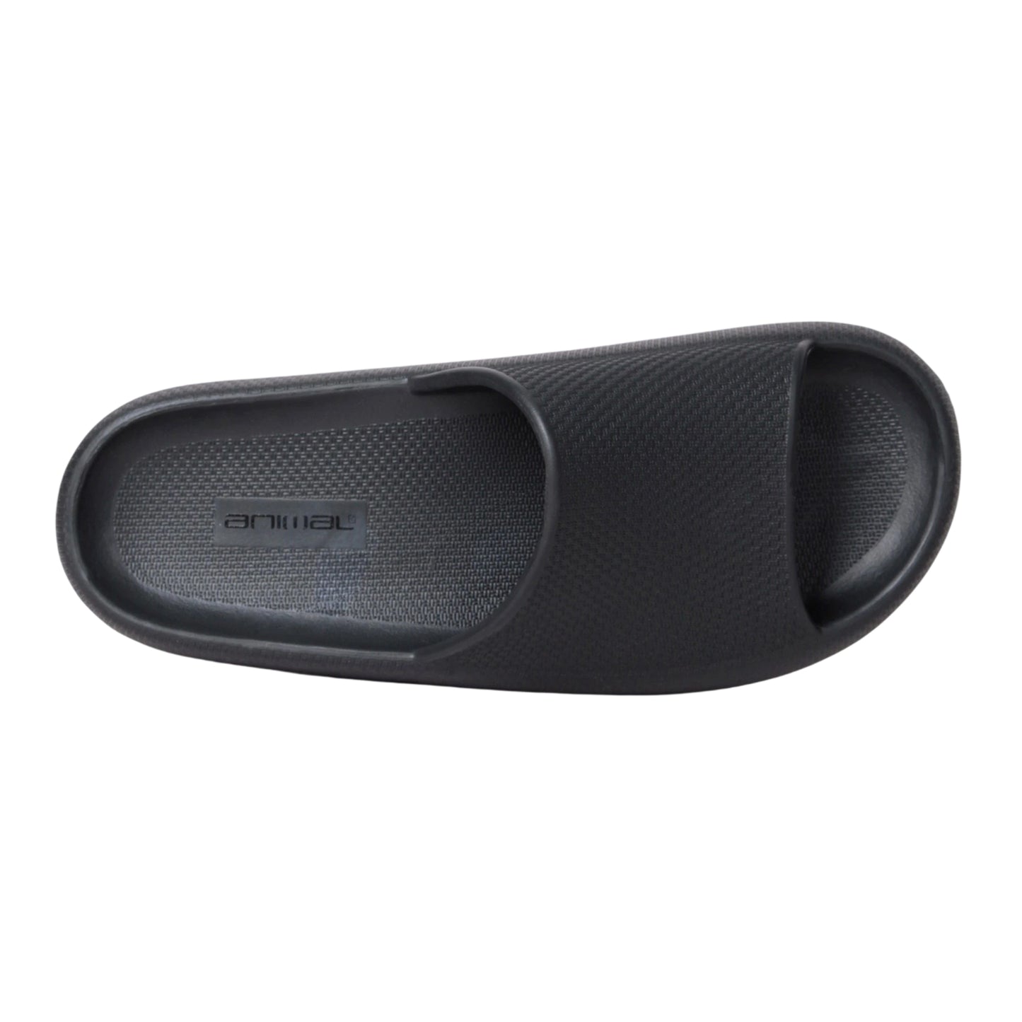 Black - Side - Animal Womens-Ladies Poolside Sliders
