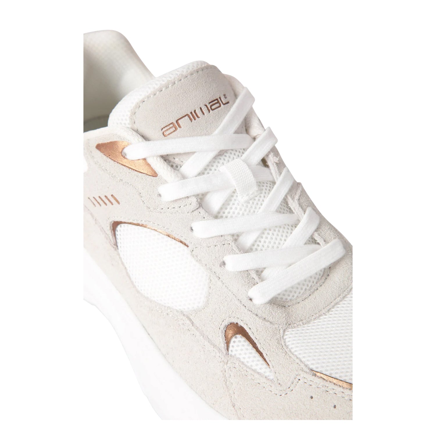 Beige - Lifestyle - Animal Womens-Ladies Ezra Leather Everyday Trainers