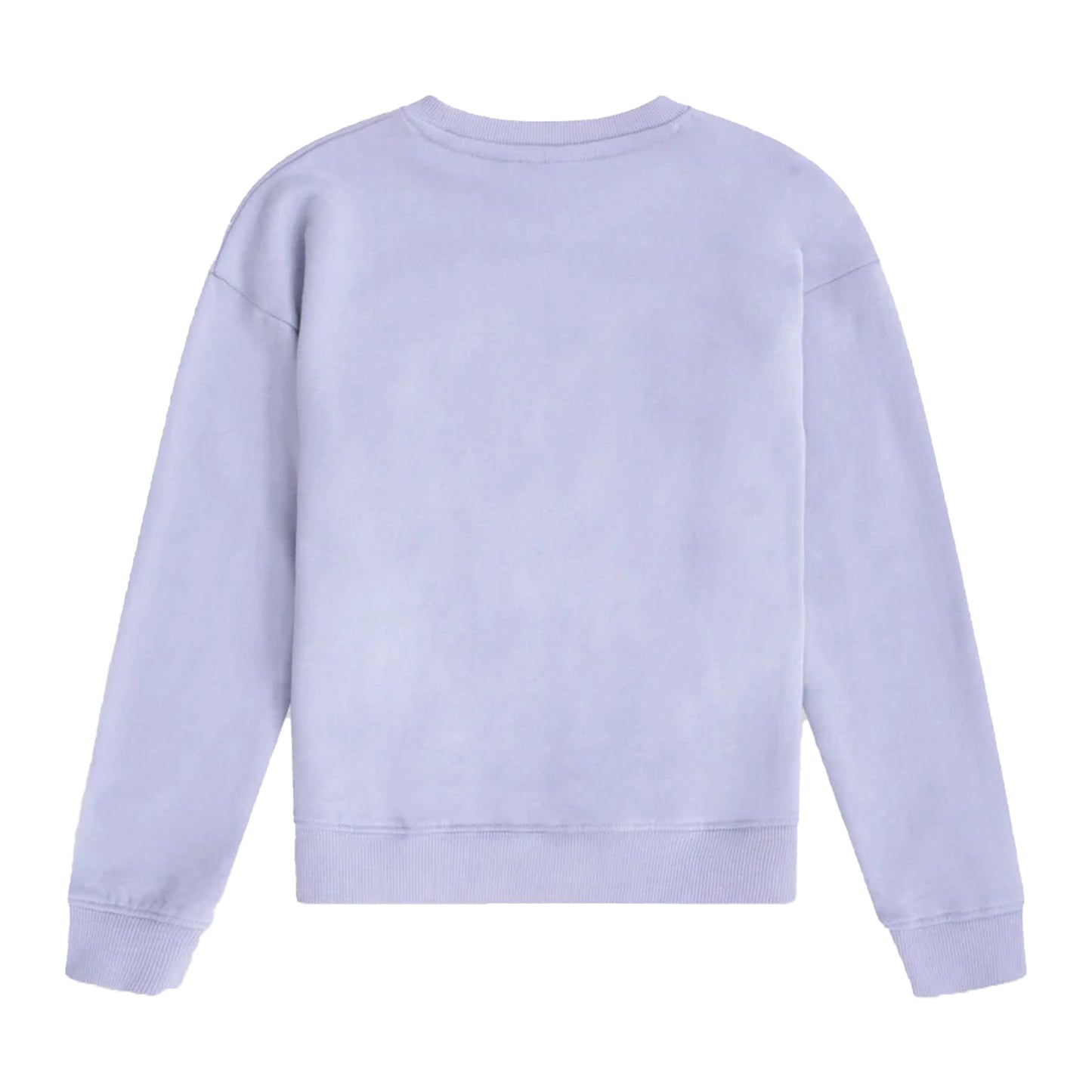 Blue - Back - Animal Childrens-Kids Sweatshirt