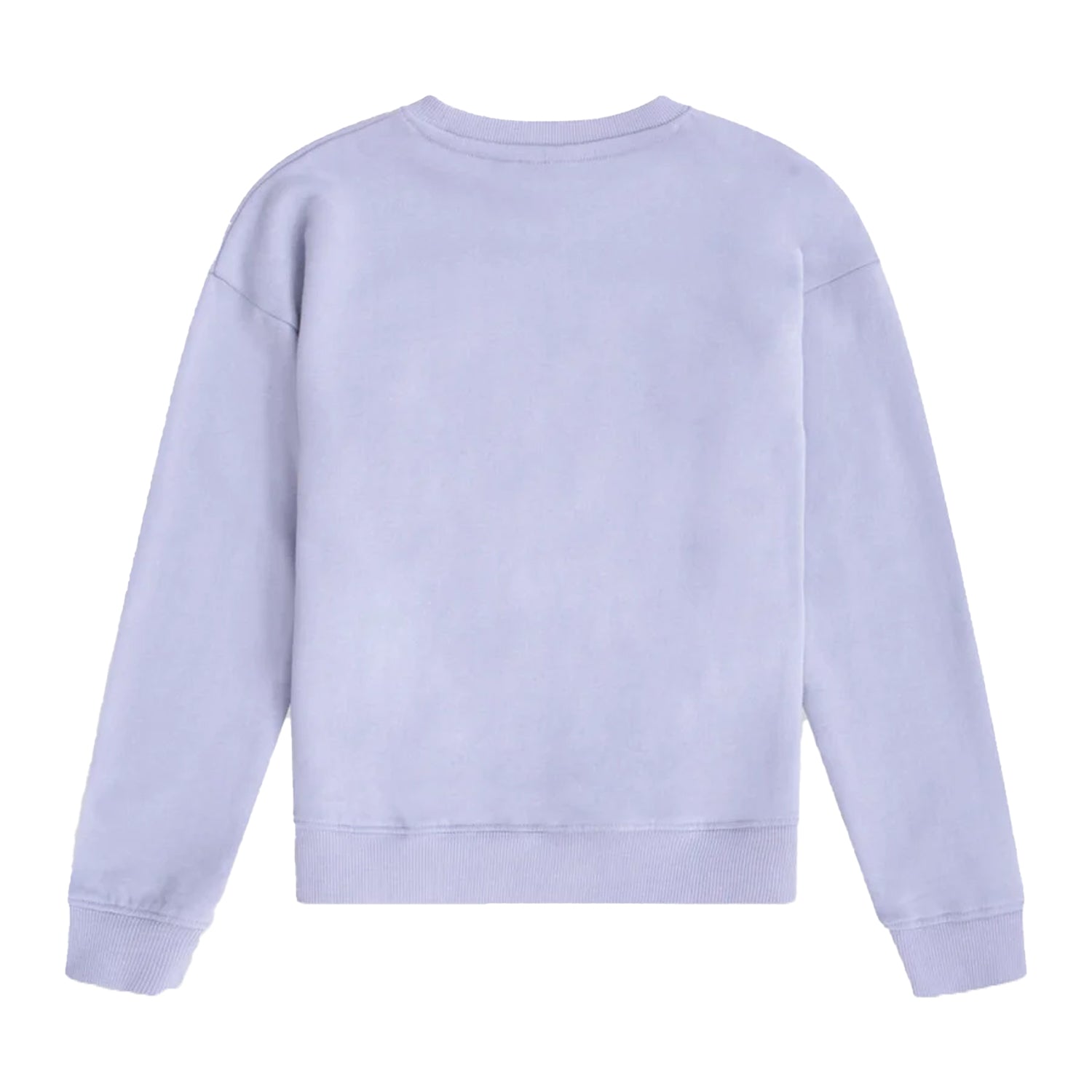Blue - Back - Animal Childrens-Kids Sweatshirt
