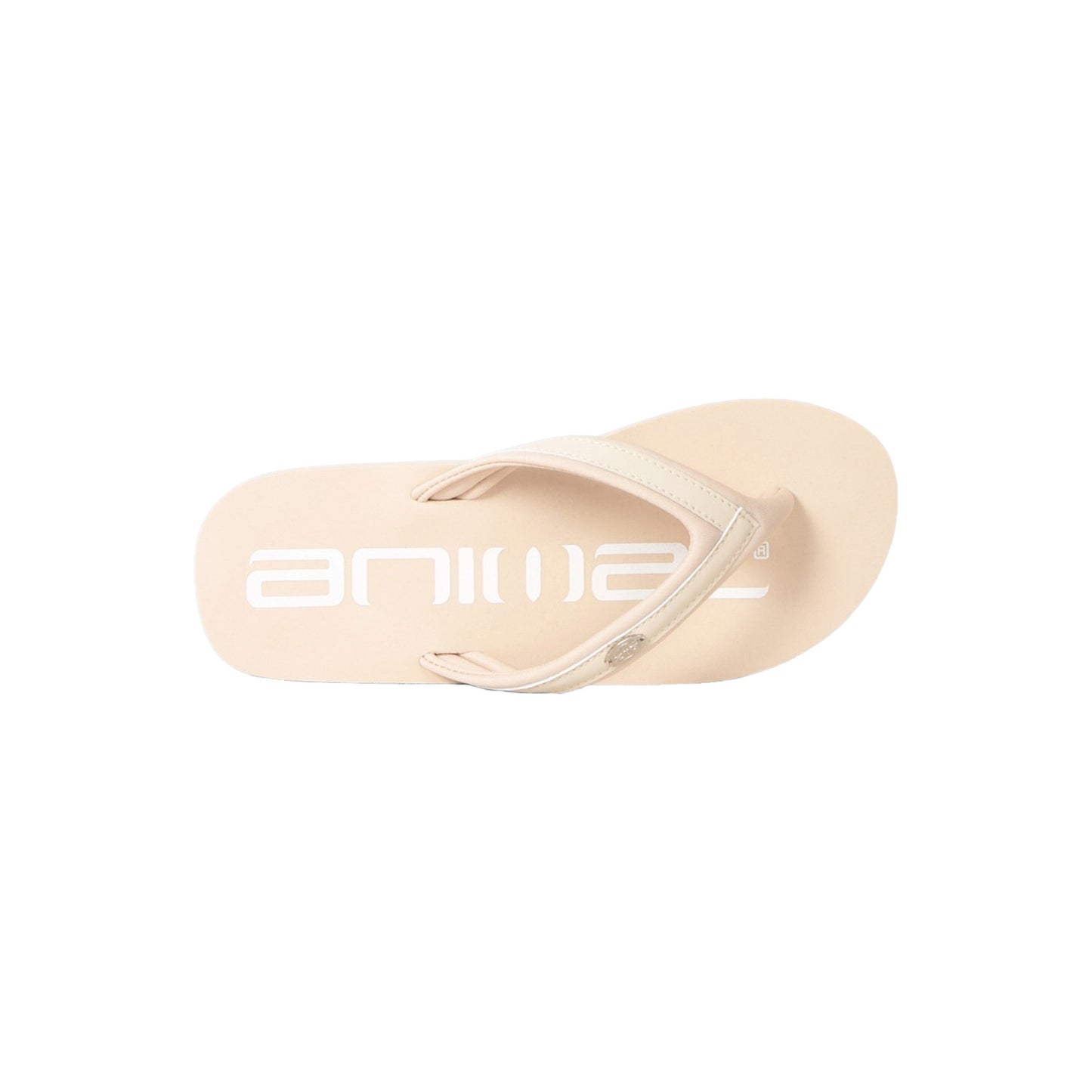 Beige-White - Back - Animal Womens-Ladies Logo Recycled Flip Flops