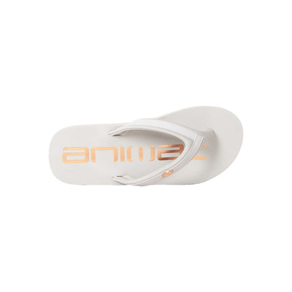 Grey-Gold - Back - Animal Womens-Ladies Logo Recycled Flip Flops