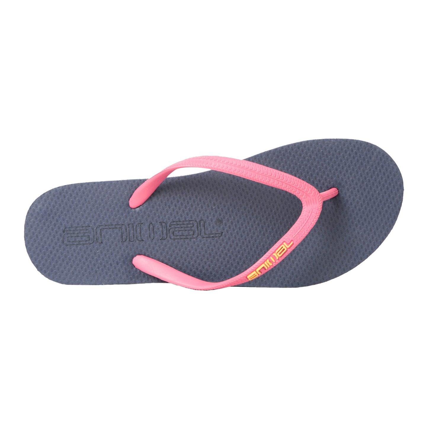 Navy - Back - Animal Womens-Ladies Oceana Flip Flops