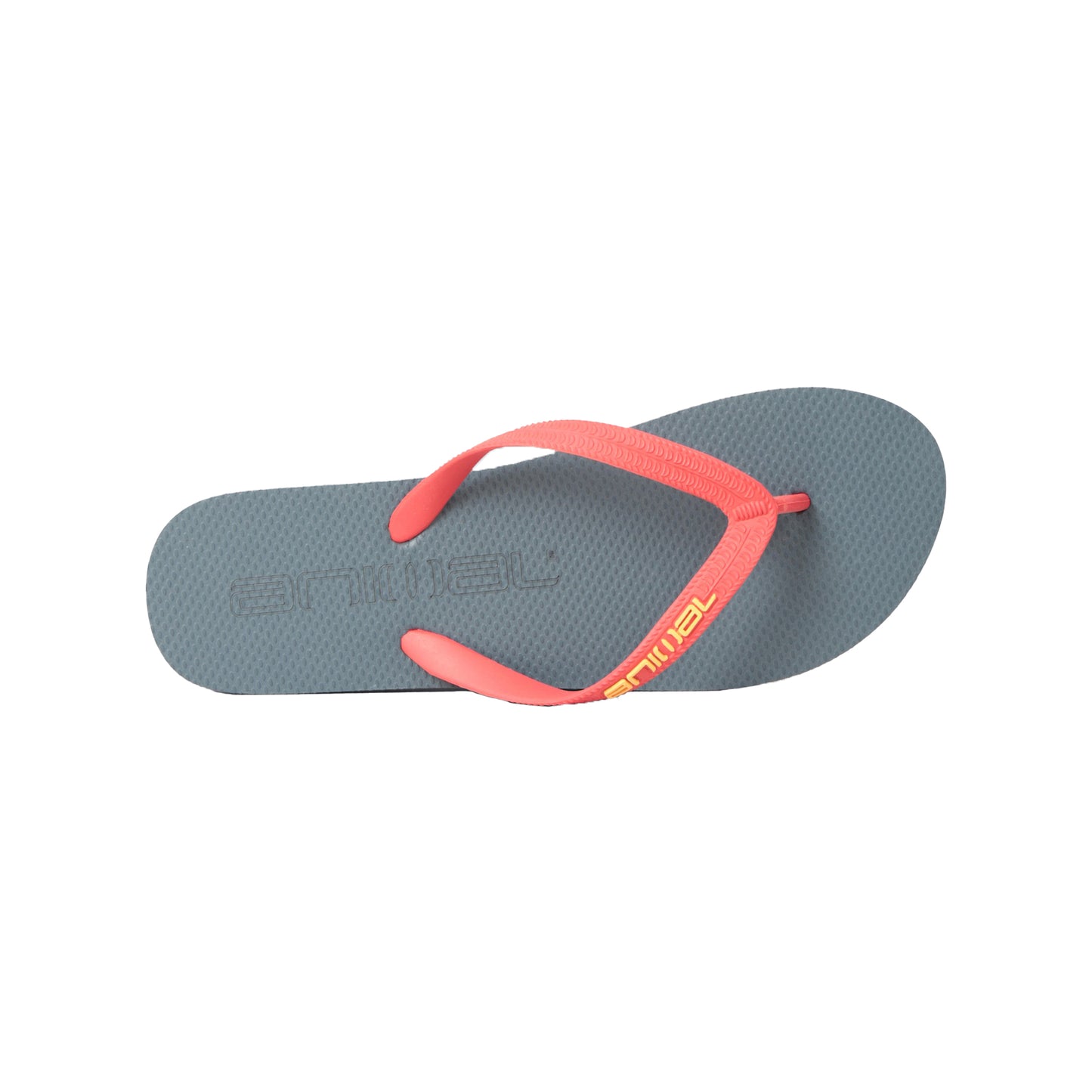 Grey - Back - Animal Mens Oceana Flip Flops
