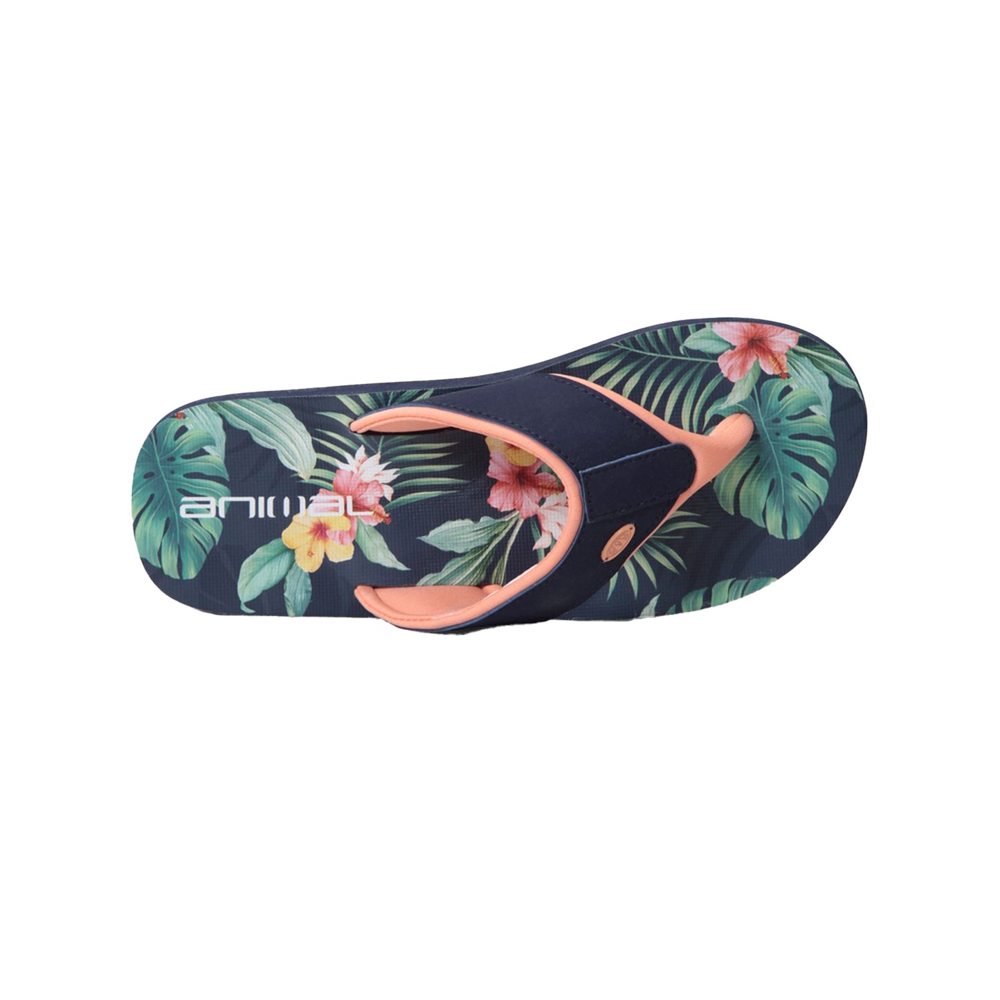 Navy - Back - Animal Womens-Ladies Swish Recycled Flip Flops
