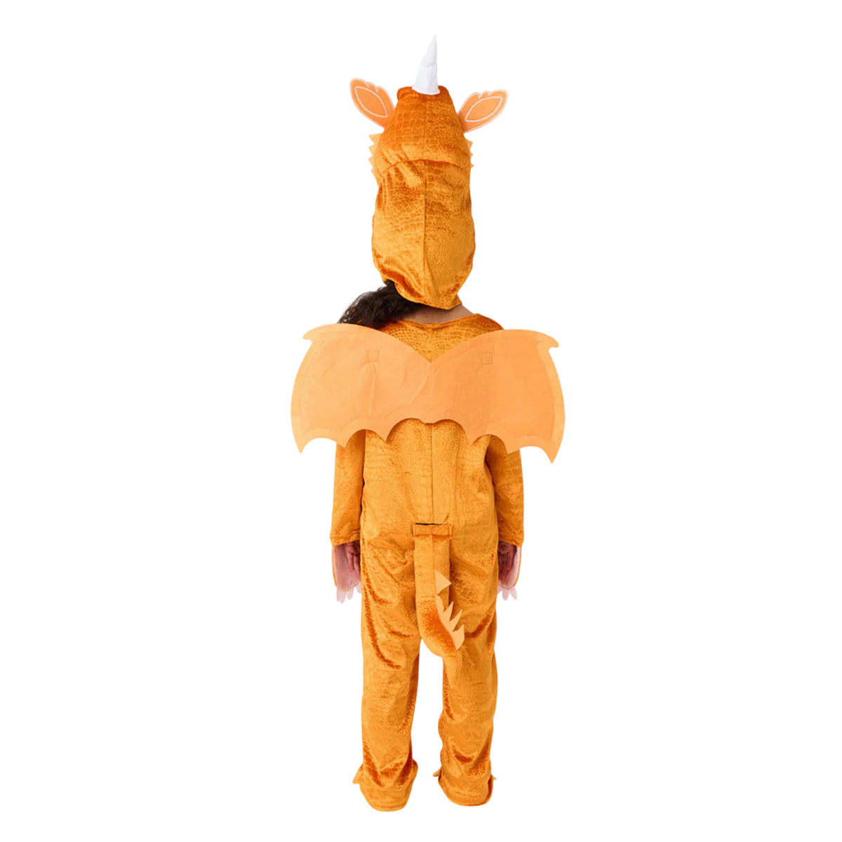Orange Zest - Back - The Gruffalo Childrens-Kids Zog 3D Costume